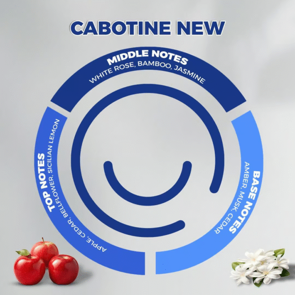CABTINE NEWعبوة معطر سميل اند سمايل 480مل-CABTINE NEW - Image 3